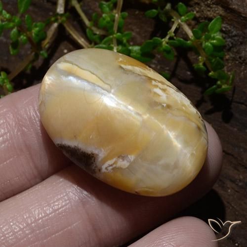 Ópalo ojo de gato Multicolor natural de 31.48 ct, Ovalada, Opaco