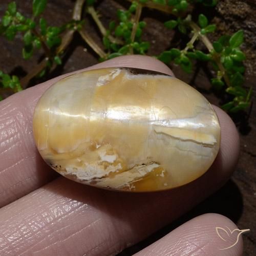 Ópalo ojo de gato Multicolor natural de 31.48 ct, Ovalada, Opaco