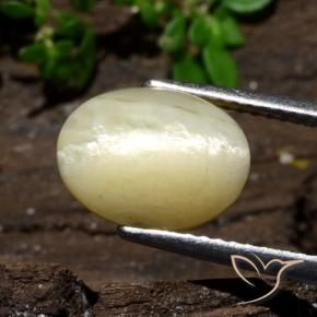Ópalo ojo de gato Blanco tenue cálido natural de 3.68 ct, Ovalada, Opaco