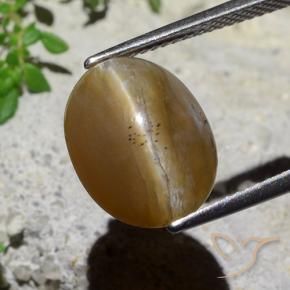 Ópalo ojo de gato Marrón medio natural de 5.89 ct, Ovalada, Translúcido