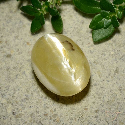 3.65ct Natural Amarillo crema Ópalo ojo de gato, Ovalada, Opaco