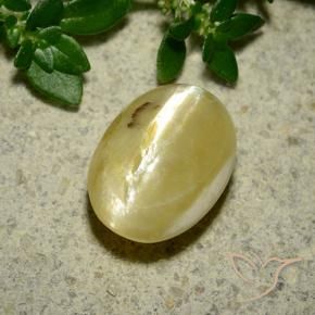 Ópalo ojo de gato Amarillo crema natural de 3.65 ct, Ovalada, Opaco