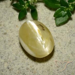 Ópalo ojo de gato Amarillo crema natural de 3.65 ct, Ovalada, Opaco