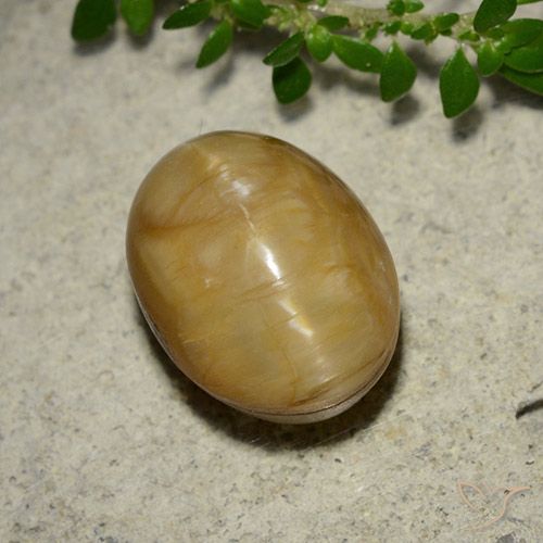 5.46ct Natural Dorado Ópalo ojo de gato, Ovalada, Opaco