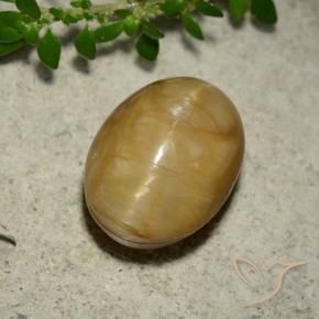Ópalo ojo de gato Dorado natural de 5.46 ct, Ovalada, Opaco