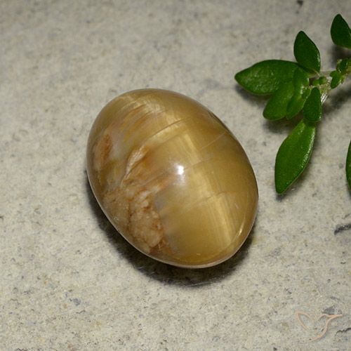 4.57ct Natural Dorado medio Ópalo ojo de gato, Ovalada, Opaco