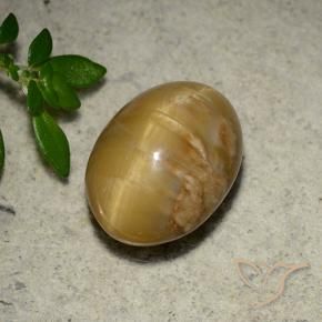 Ópalo ojo de gato Dorado medio natural de 4.57 ct, Ovalada, Opaco