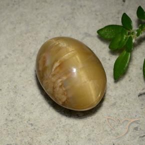 Ópalo ojo de gato Dorado medio natural de 4.57 ct, Ovalada, Opaco