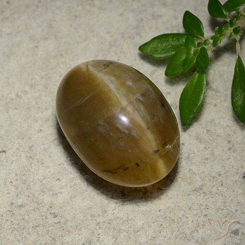 4.65ct Natural Marrón dorado Ópalo ojo de gato, Ovalada, Translúcido