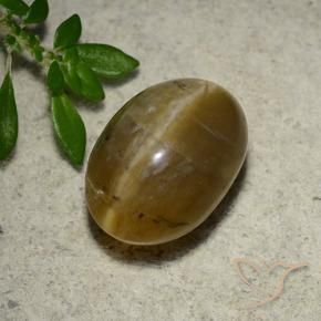 Ópalo ojo de gato Marrón dorado natural de 4.65 ct, Ovalada, Translúcido
