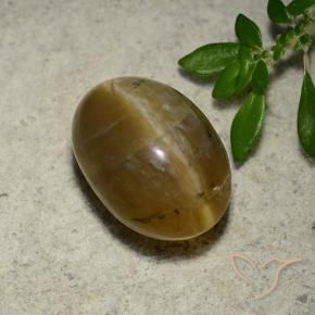 Ópalo ojo de gato Marrón dorado natural de 4.65 ct, Ovalada, Translúcido