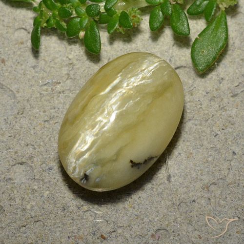5.04ct Natural Amarillo banana Ópalo ojo de gato, Ovalada, Opaco