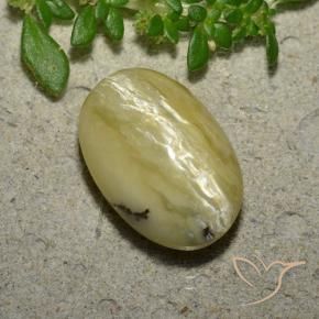 Ópalo ojo de gato Amarillo banana natural de 5.04 ct, Ovalada, Opaco