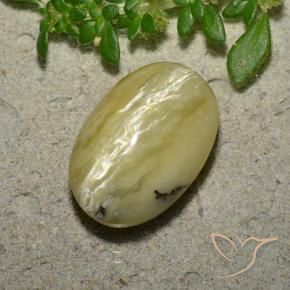 Ópalo ojo de gato Amarillo banana natural de 5.04 ct, Ovalada, Opaco