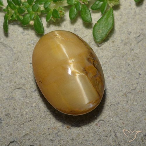 6.31ct Natural Marrón-oro Ópalo ojo de gato, Ovalada, Opaco