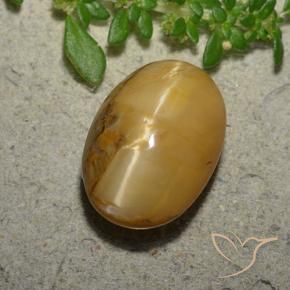 Ópalo ojo de gato Marrón-oro natural de 6.31 ct, Ovalada, Opaco