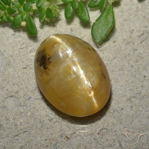 4.45ct Natural Naranja dorado Ópalo ojo de gato, Ovalada, Translúcido