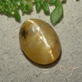 Ópalo ojo de gato Naranja dorado natural de 4.45 ct, Ovalada, Translúcido