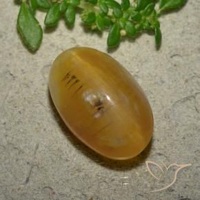 Ópalo ojo de gato Marrón-oro natural de 7.03 ct, Ovalada, Translúcido