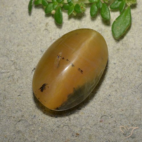 6.14ct Natural Marrón-oro Ópalo ojo de gato, Ovalada, Translúcido