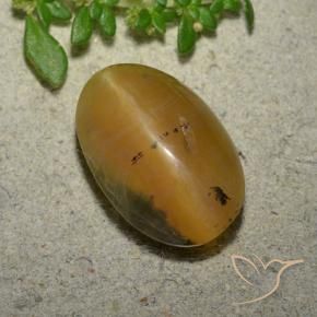 Ópalo ojo de gato Marrón-oro natural de 6.14 ct, Ovalada, Translúcido