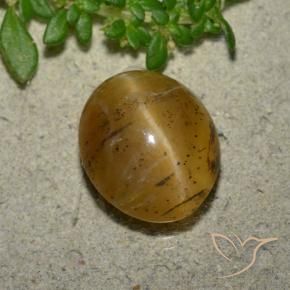 Ópalo ojo de gato Marrón-oro natural de 3.94 ct, Ovalada, Translúcido