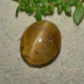 Ópalo ojo de gato Marrón-oro natural de 3.94 ct, Ovalada, Translúcido