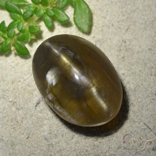 9.59ct Natural Marrón oscuro medio Ópalo ojo de gato, Ovalada, Translúcido