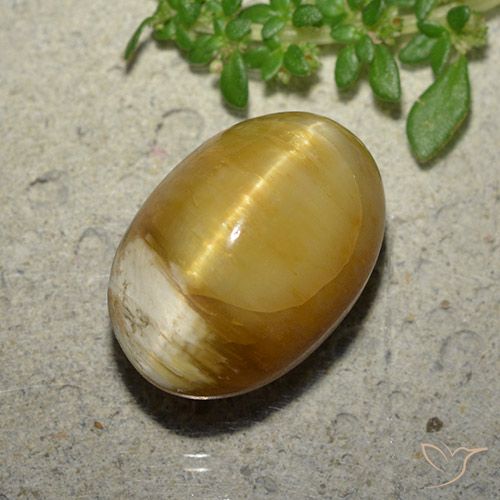 10.46ct Natural Dorado Ópalo ojo de gato, Ovalada, Opaco