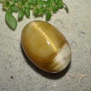 Ópalo ojo de gato Dorado natural de 10.46 ct, Ovalada, Opaco