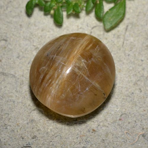 8.17ct Natural Marrón terroso Ópalo ojo de gato, Ovalada, Translúcido
