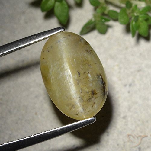 7.86ct Natural Amarillo medio Ópalo ojo de gato, Ovalada, Translúcido