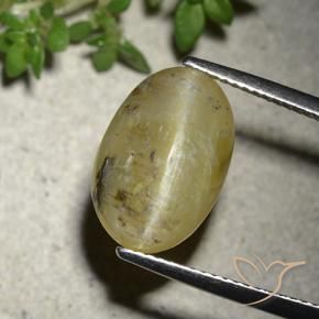 Ópalo ojo de gato Amarillo medio natural de 7.86 ct, Ovalada, Translúcido