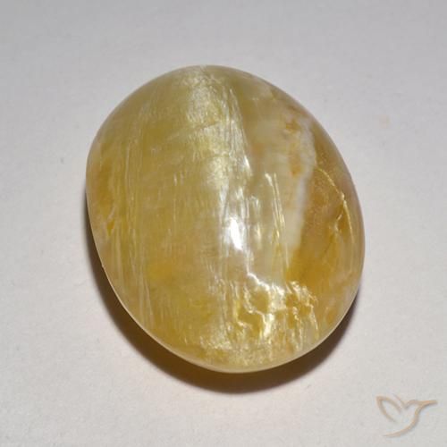 Ópalo ojo de gato Amarillo medio natural de 6.21 ct, Ovalada, Translúcido