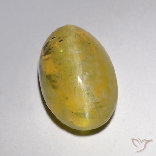 Ópalo ojo de gato Amarillo suave natural de 5.25 ct, Ovalada, Translúcido