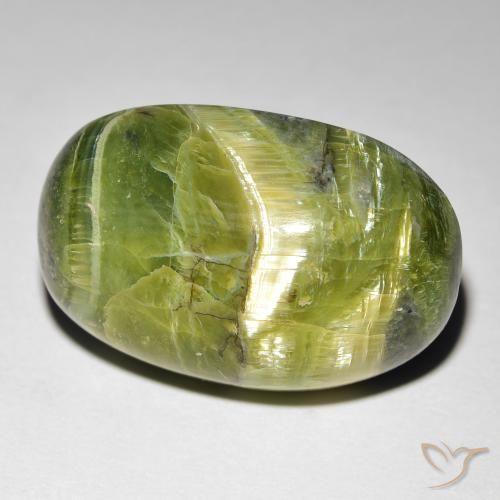 Ópalo ojo de gato Verde amarillento natural de 16.99 ct, Ovalada, Opaco