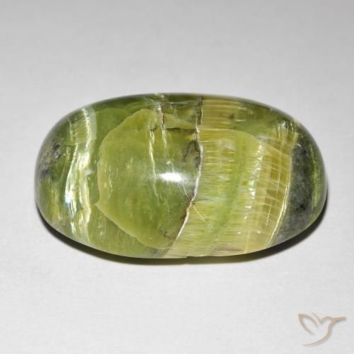 Ópalo ojo de gato Verde amarillento natural de 16.99 ct, Ovalada, Opaco