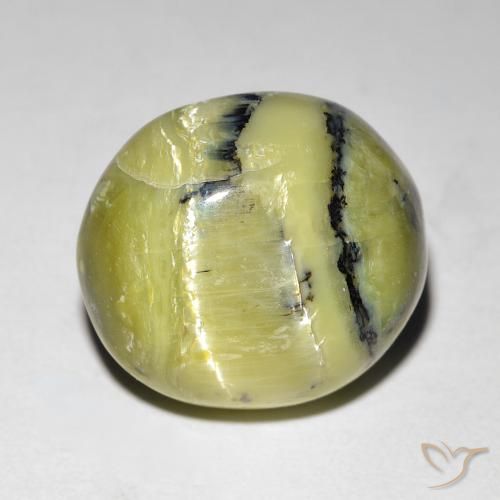 Ópalo ojo de gato Verde amarillento natural de 7.62 ct, Ovalada, Opaco
