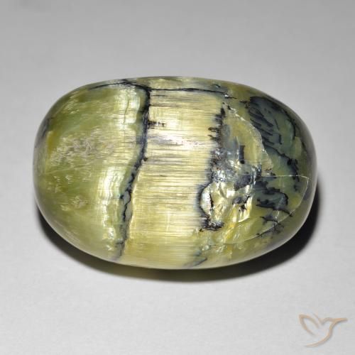21.84ct Natural Verde medio Ópalo ojo de gato, Ovalada, Opaco