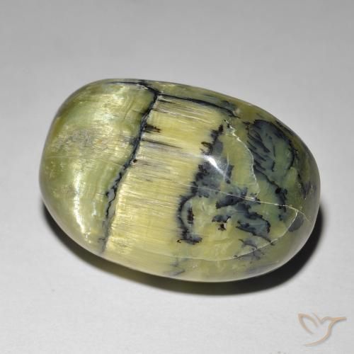Ópalo ojo de gato Verde medio natural de 21.84 ct, Ovalada, Opaco