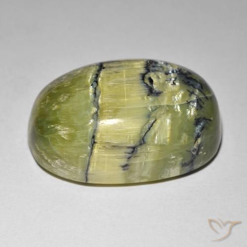 Ópalo ojo de gato Verde medio natural de 21.84 ct, Ovalada, Opaco