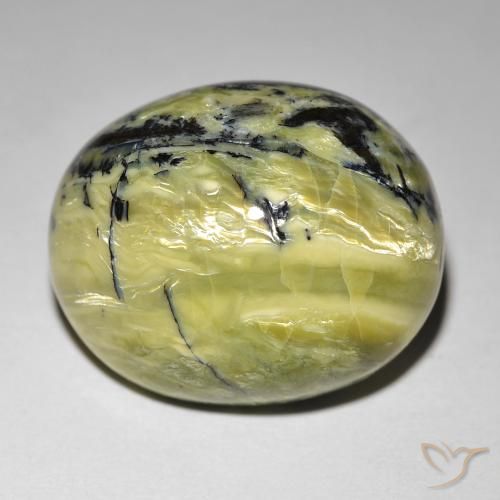 24.01ct Natural Verde terroso Ópalo ojo de gato, Ovalada, Opaco