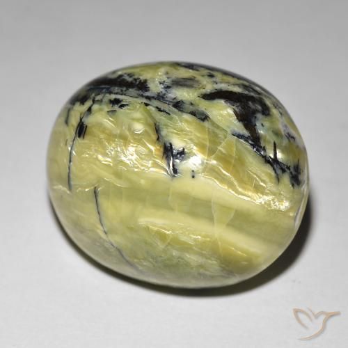 Ópalo ojo de gato Verde terroso natural de 24.01 ct, Ovalada, Opaco