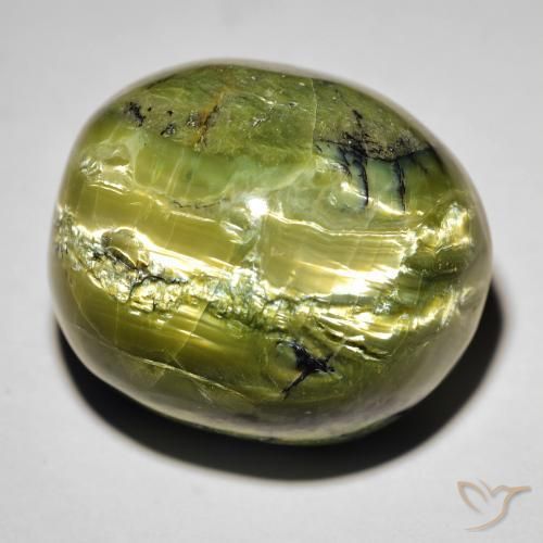 Ópalo ojo de gato Verde terroso natural de 38.09 ct, Ovalada, Opaco