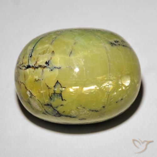 19.06ct Natural Verde terroso Ópalo ojo de gato, Ovalada, Opaco