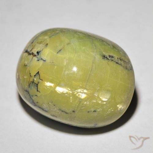 Ópalo ojo de gato Verde terroso natural de 19.06 ct, Ovalada, Opaco
