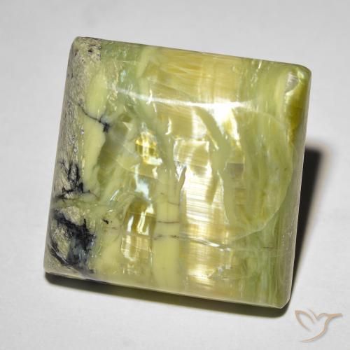18.31ct Natural Verde medio Ópalo ojo de gato, Cuadrado, Opaco