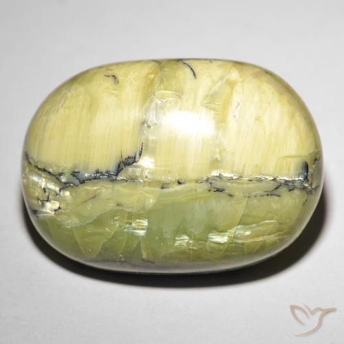 30.92ct Natural Verde terroso Ópalo ojo de gato, Ovalada, Opaco
