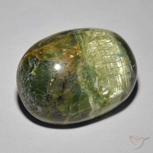 Ópalo ojo de gato Verde terroso natural de 18.89 ct, Ovalada, Opaco
