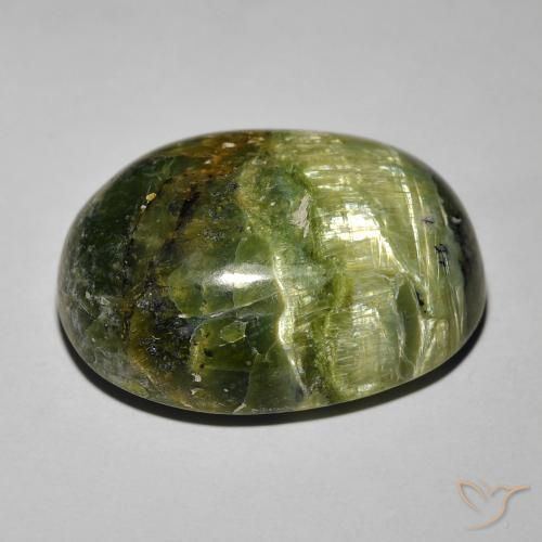 Ópalo ojo de gato Verde terroso natural de 18.89 ct, Ovalada, Opaco